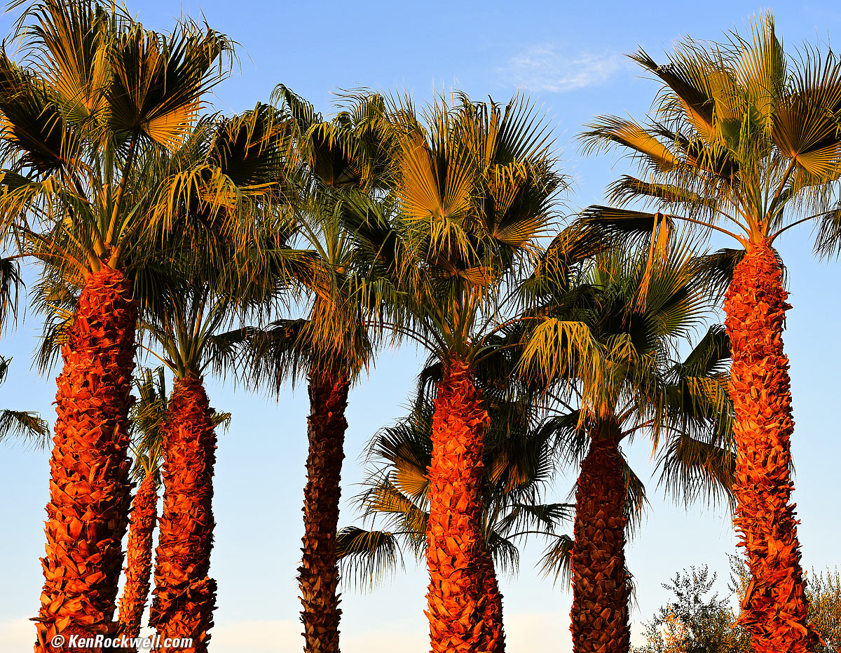 Nikon Z 50mm f/2.8 Sample Image File