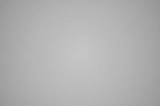 Nikon Z 50mm f/2.8 Macro falloff