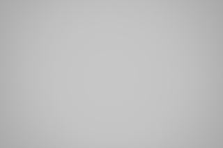 Nikon Z 50mm f/2.8 Macro falloff