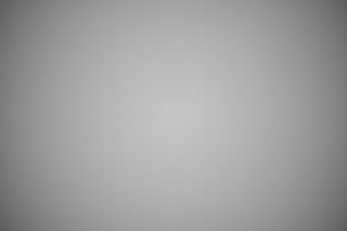 Nikon Z 50mm f/2.8 Macro falloff