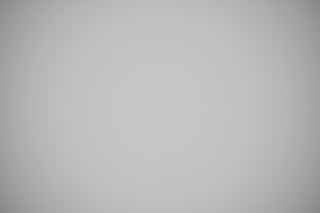 Nikon Z 50mm f/2.8 Macro falloff