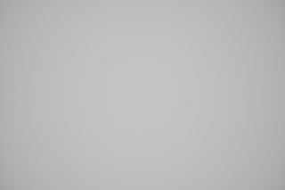 Nikon Z 50mm f/2.8 Macro falloff