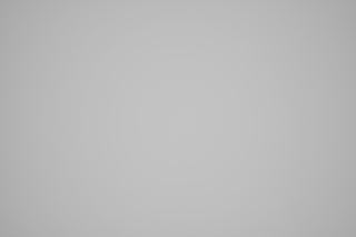 Nikon Z 50mm f/2.8 Macro falloff