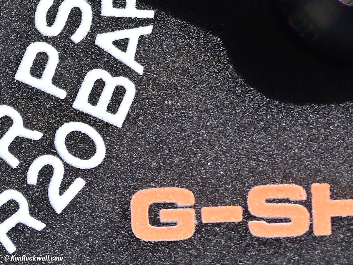 Nikon Z 50mm f/2.8 Macro Performance