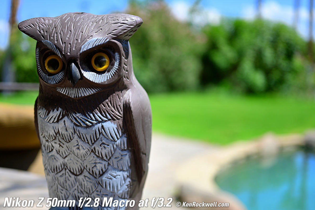 Nikon Z 50mm f/2.8 Macro Bokeh Sample Image File