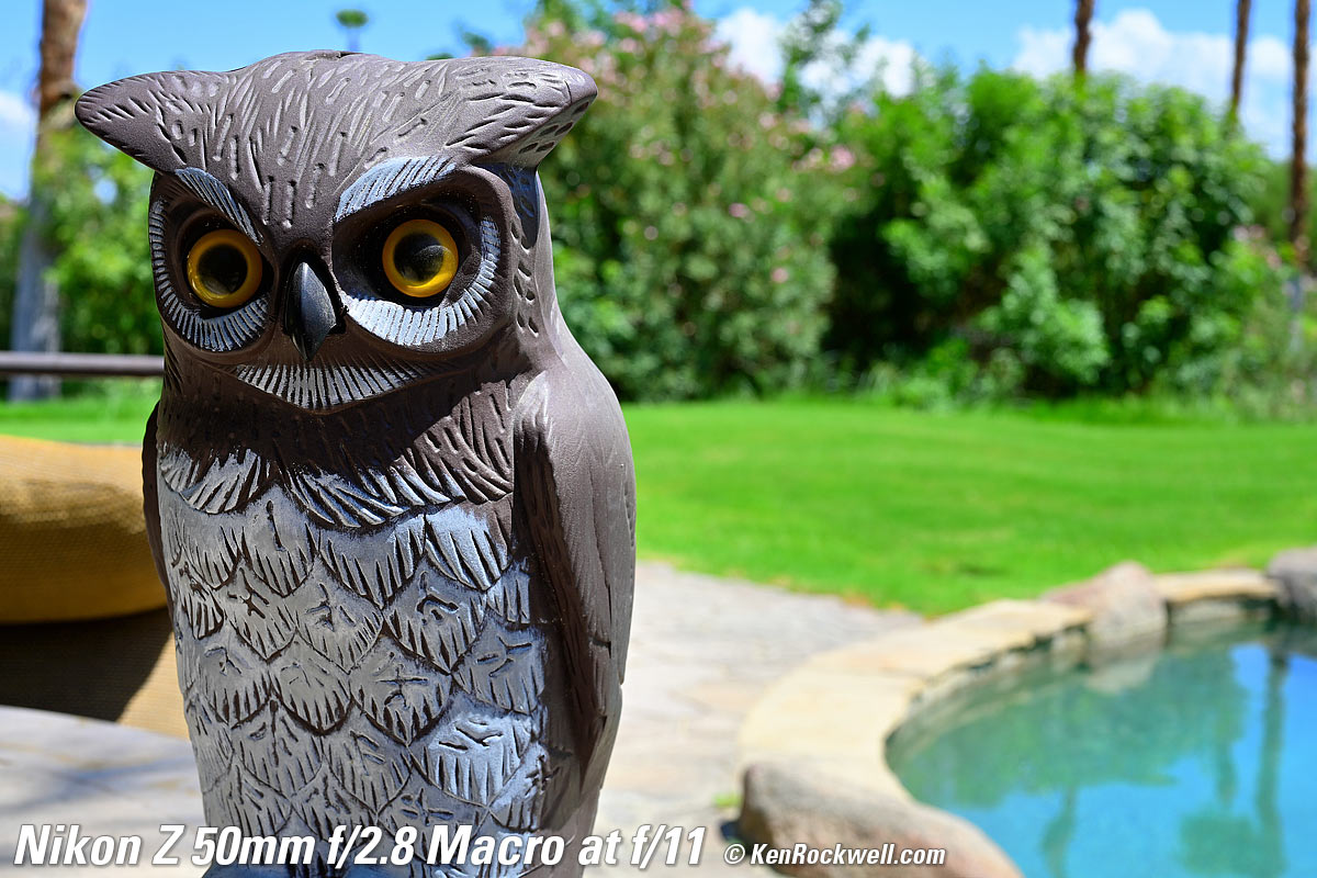 Nikon Z 50mm f/2.8 Macro Bokeh Sample Image File