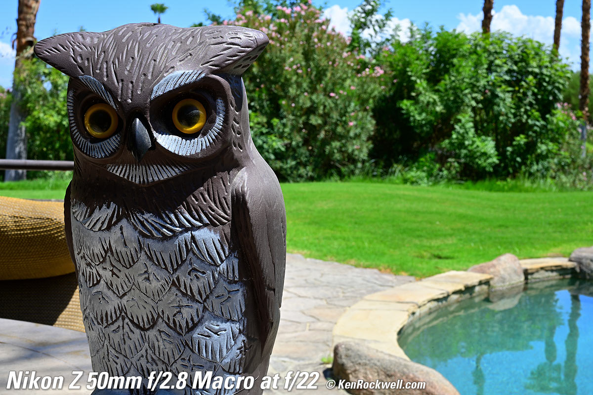 Nikon Z 50mm f/2.8 Macro Bokeh Sample Image File