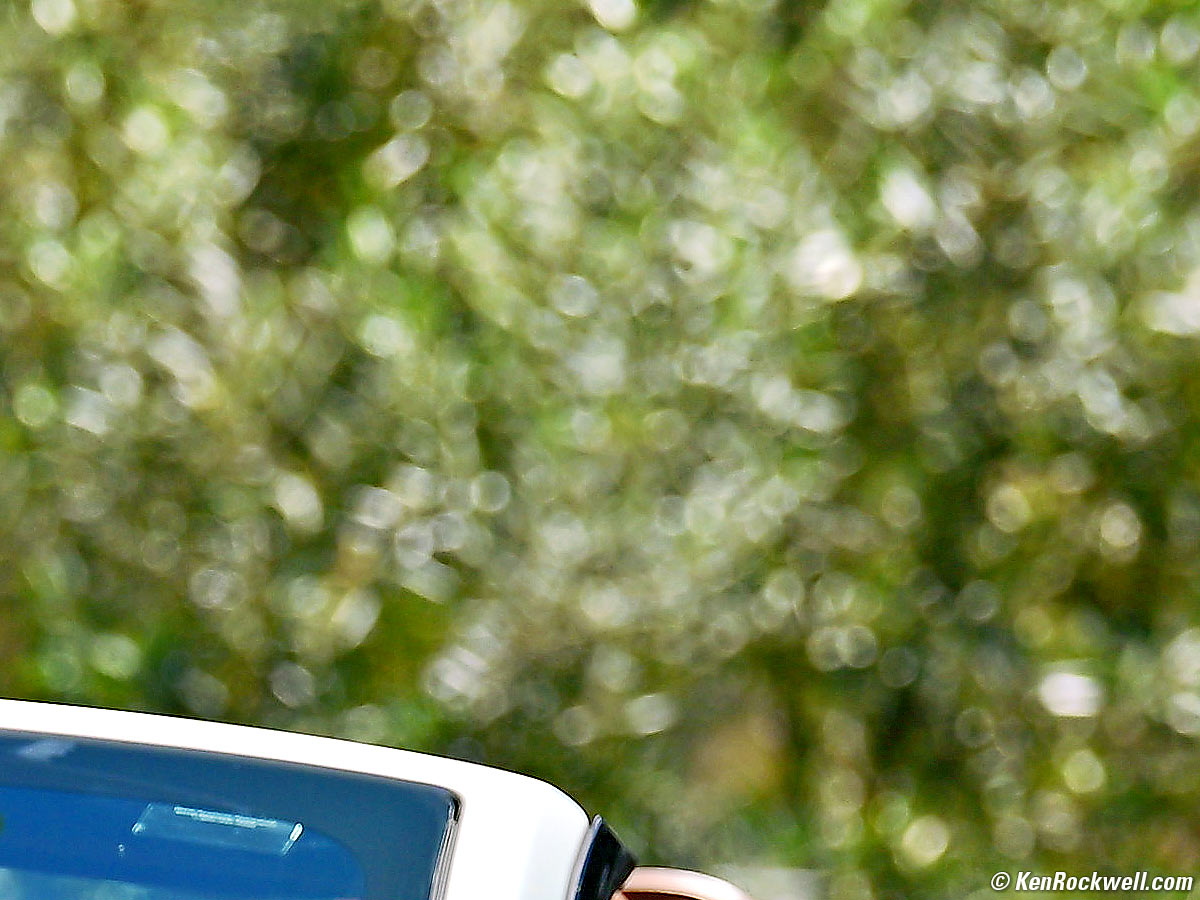 Nikon Z 70-200mm f/2.8 VR II VCM Sample Image File