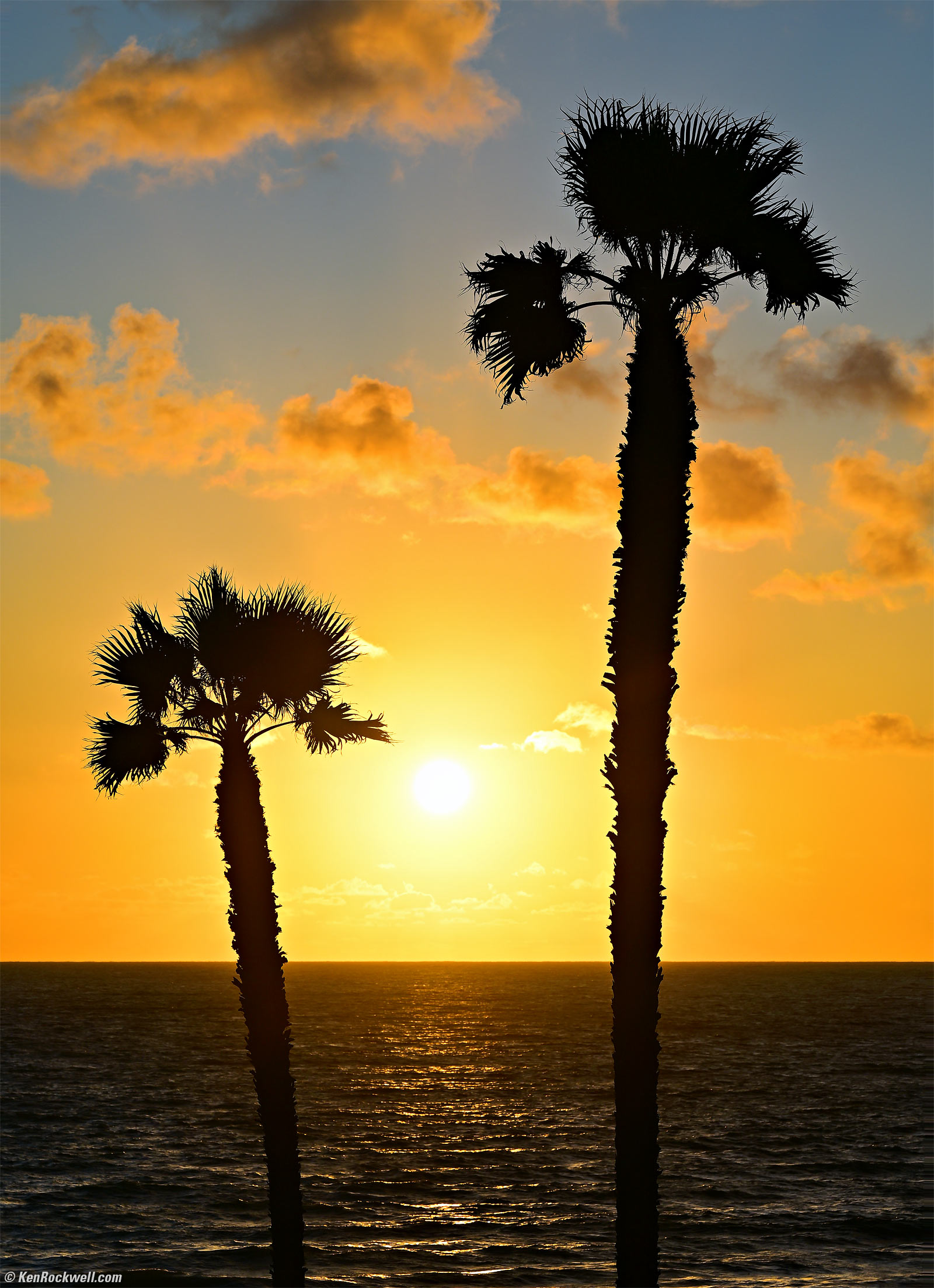 Nikon Z 70-200mm f/2.8 VR II VCM Sample Image File