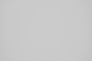 Nikon Z 70-200mm f/2.8 Falloff