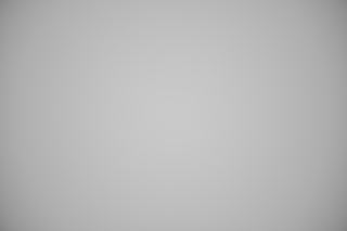 Nikon Z 70-200mm f/2.8 Falloff