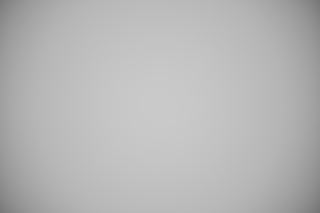 Nikon Z 70-200mm f/2.8 Falloff