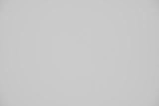 Nikon Z 70-200mm f/2.8 Falloff