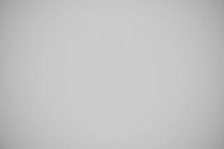 Nikon Z 70-200mm f/2.8 Falloff