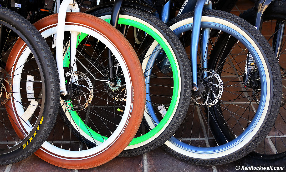 Nikon Z fc Sample Image File