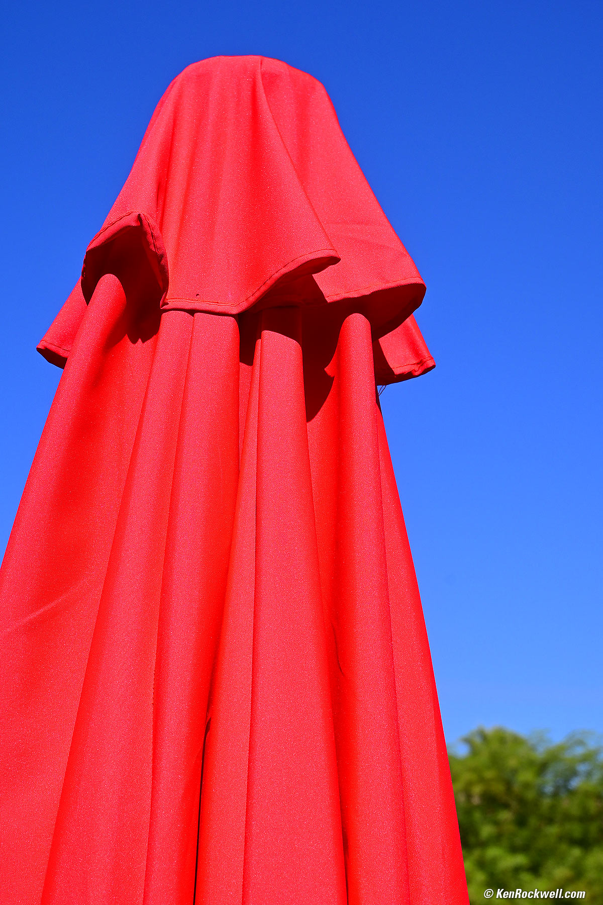 Nikon Z fc Sample Image File