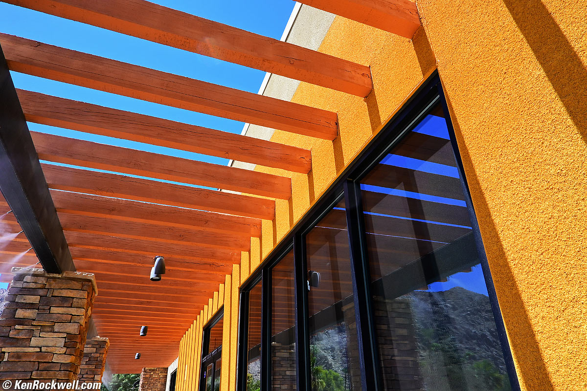 Nikon Z fc Sample Image File