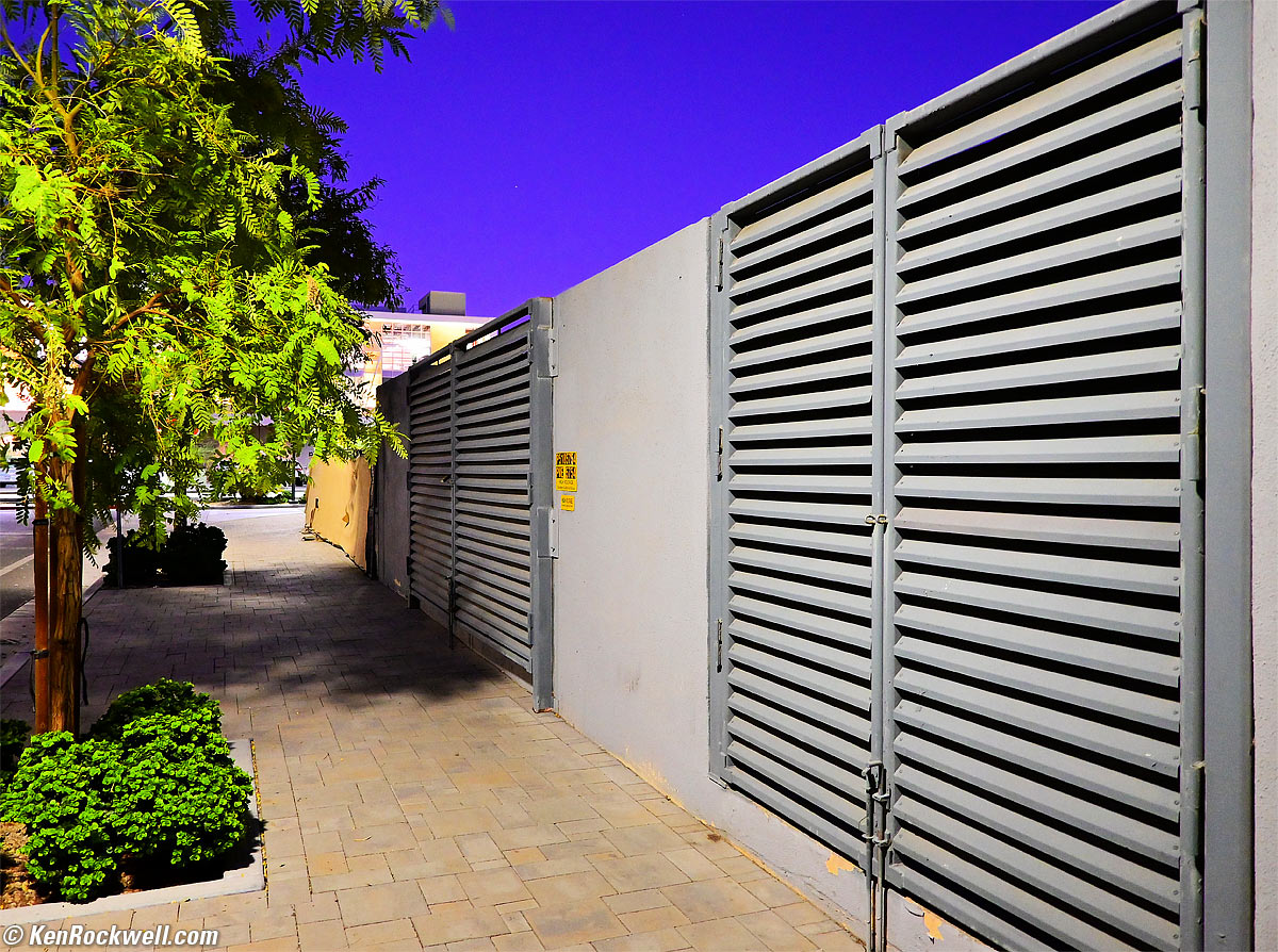 Nikon Z fc Sample Image File