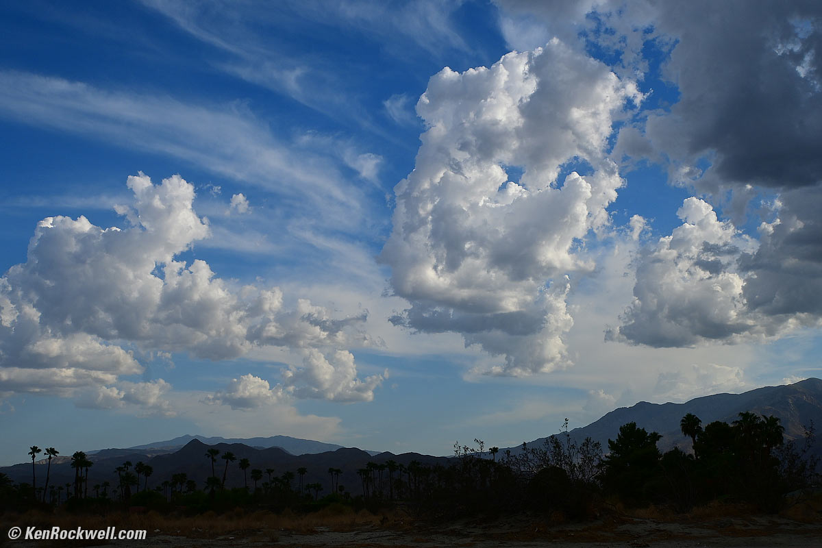 Nikon Z fc Exposure Accuracy