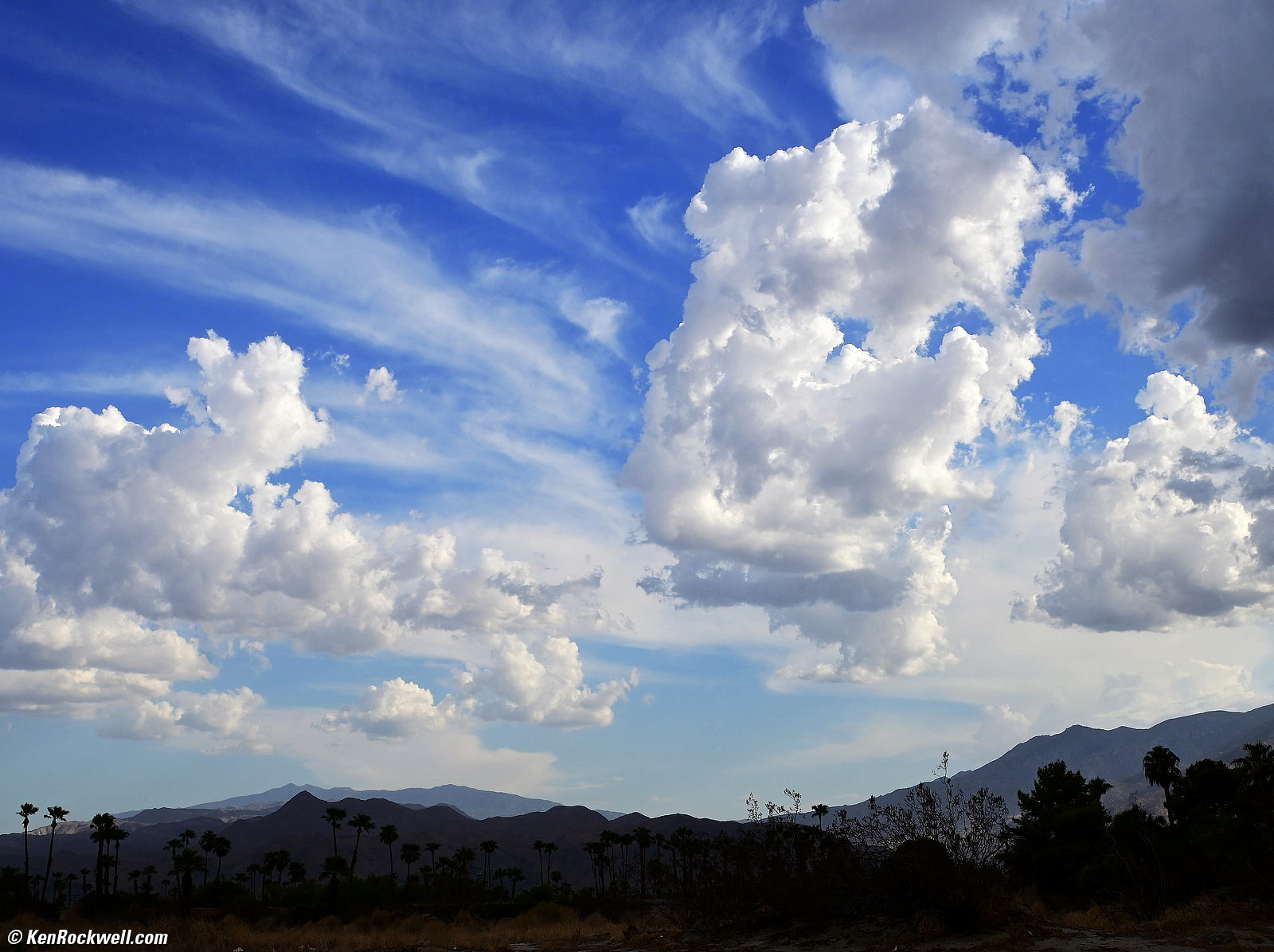 Nikon Z fc Sample Image File