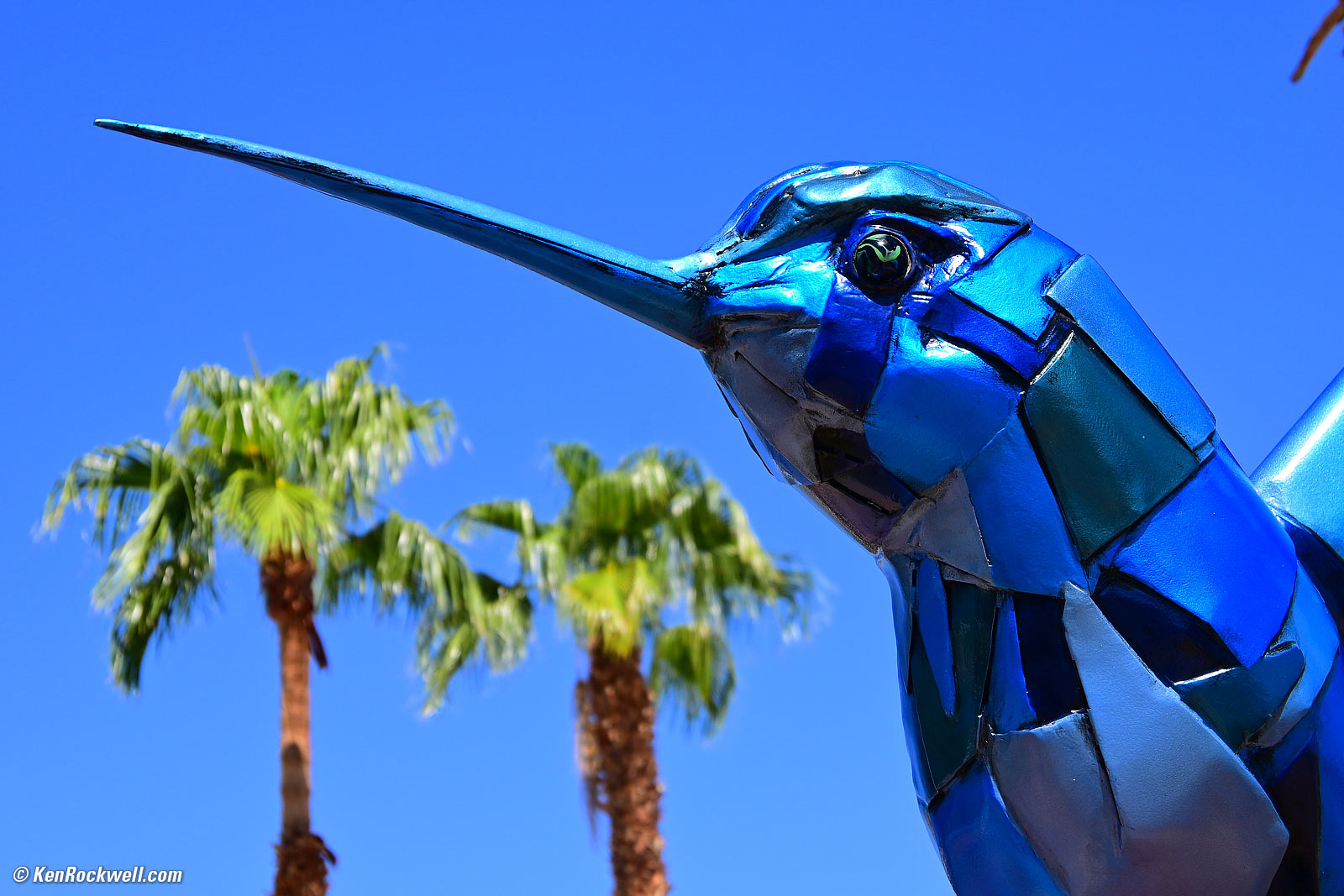 Nikon Z fc Sample Image File