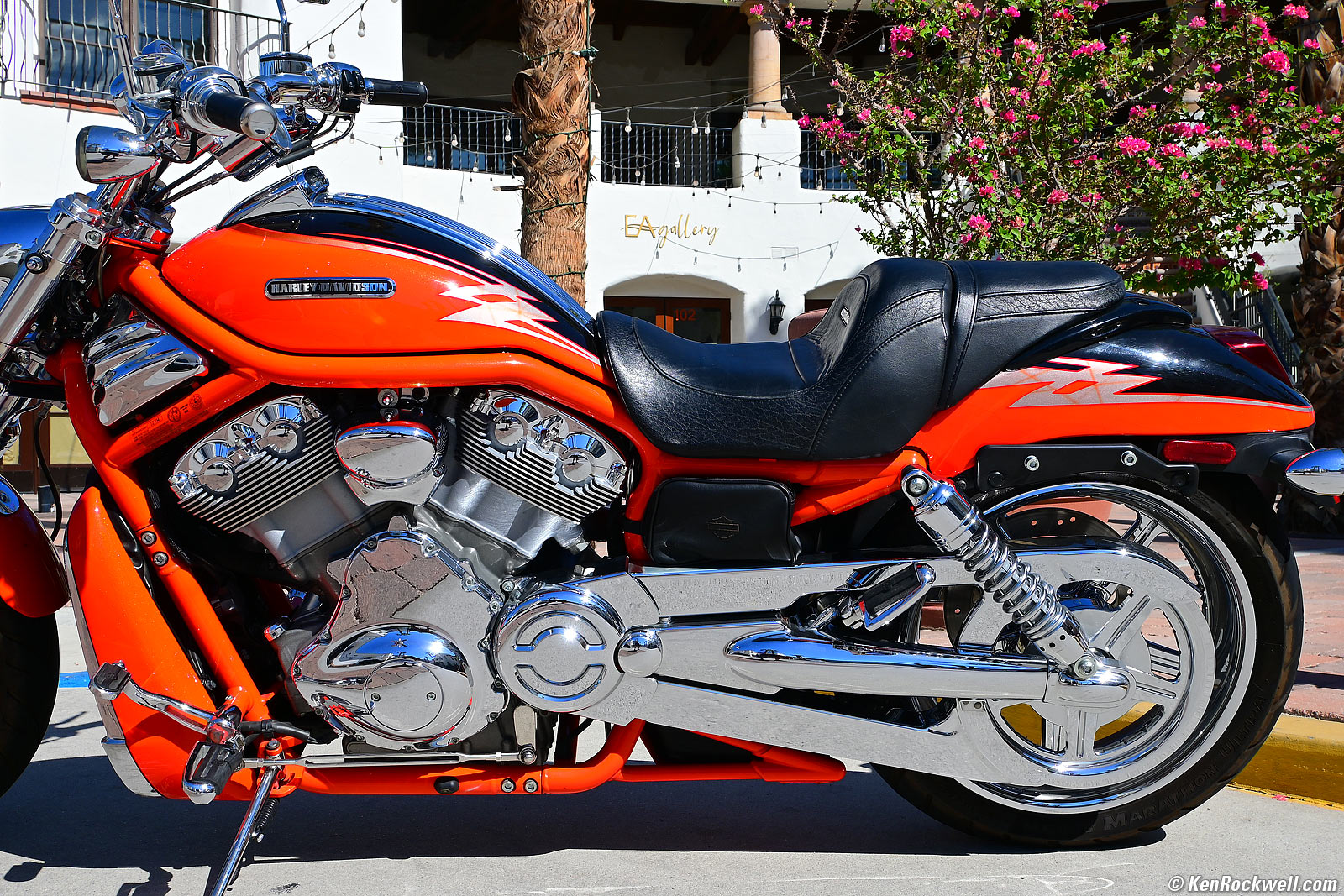 Nikon Z fc Sample Image File