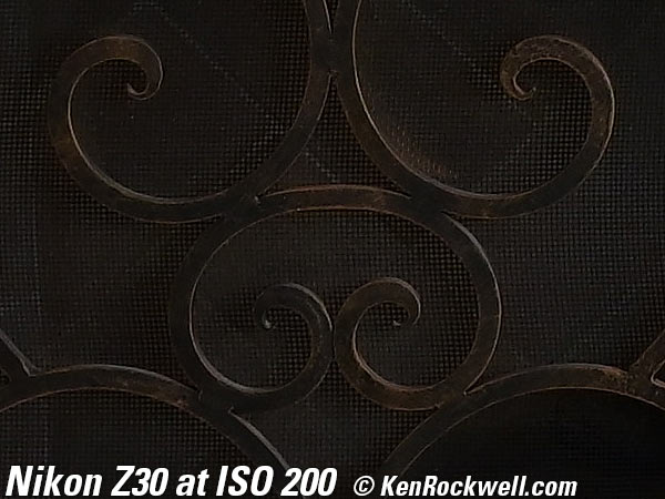 Nikon Z30 High ISO Sample Image File