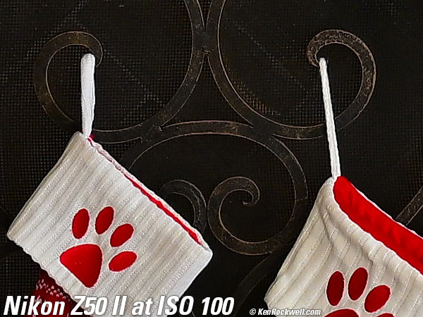 Nikon Z50 II High ISO Sample Image File