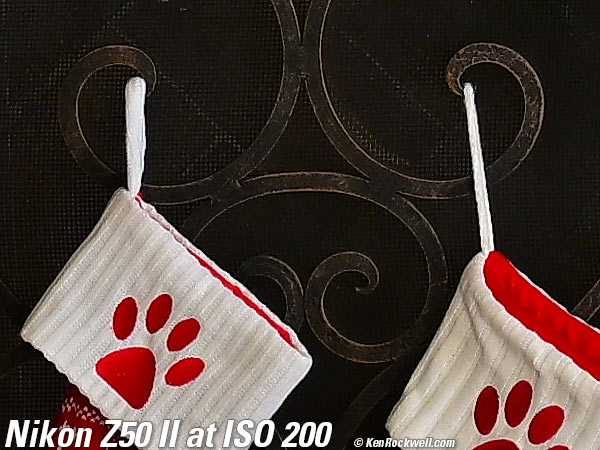 Nikon Z50 II High ISO Sample Image File