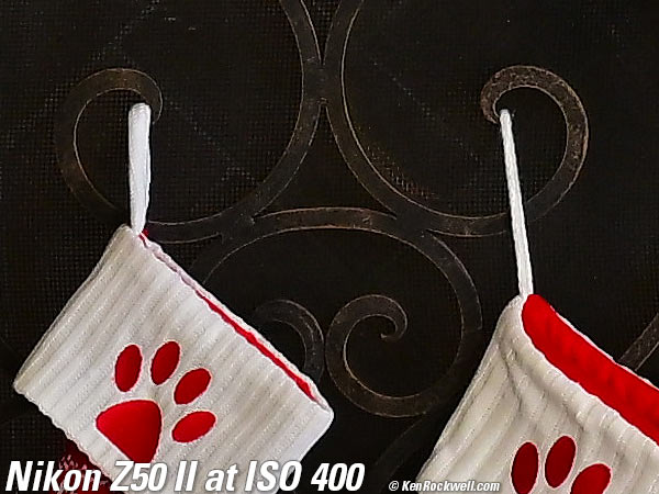 Nikon Z50 II High ISO Sample Image File