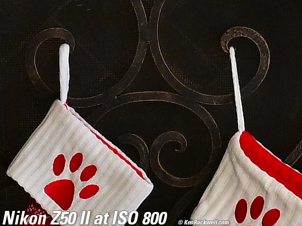 Nikon Z50 II High ISO Sample Image File