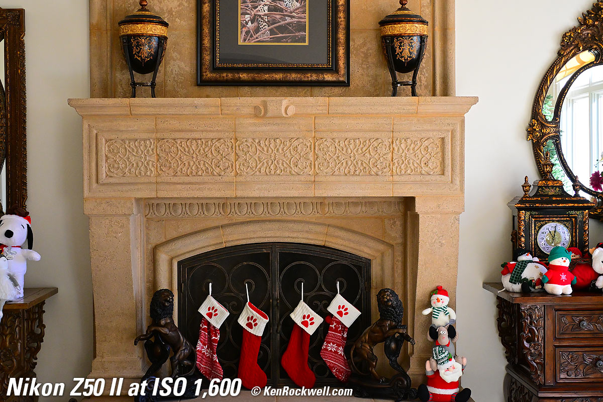 Nikon Z50 II High ISO Sample Image File