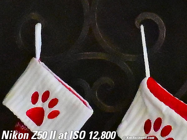 Nikon Z50 II High ISO Sample Image File