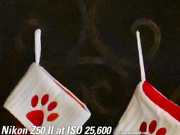 Nikon Z50 II High ISO Sample Image File