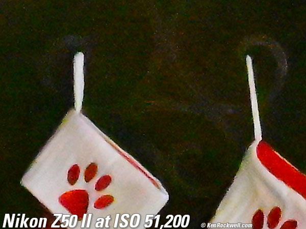 Nikon Z50 II High ISO Sample Image File