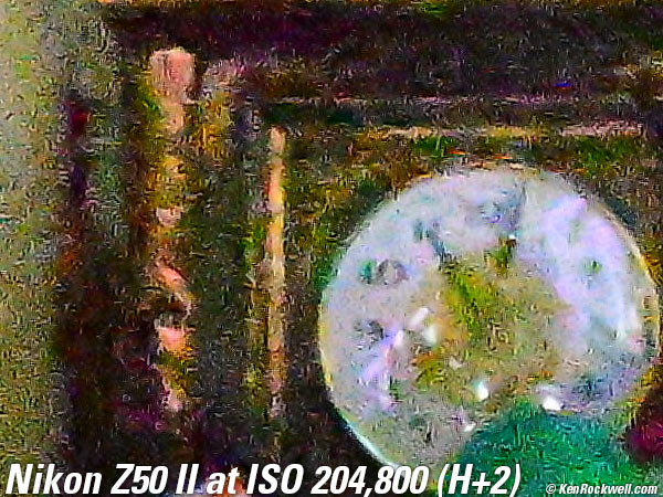 Nikon Z50 II High ISO Sample Image File