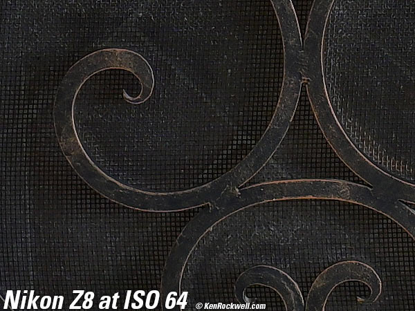 Nikon Z8 High ISO Sample Image File