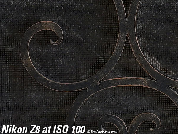 Nikon Z8 High ISO Sample Image File