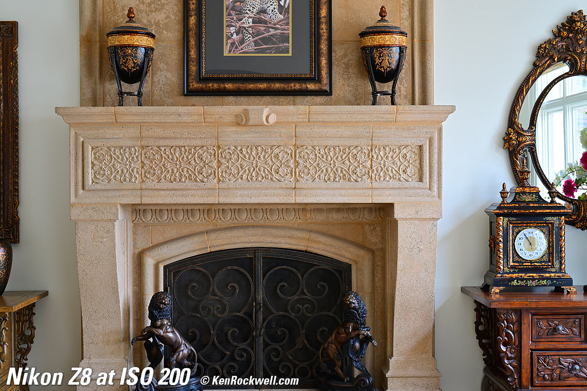 Nikon Z8 High ISO Sample Image File