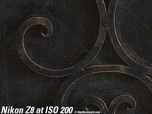 Nikon Z8 High ISO Sample Image File