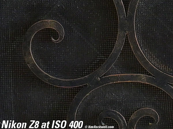 Nikon Z8 High ISO Sample Image File