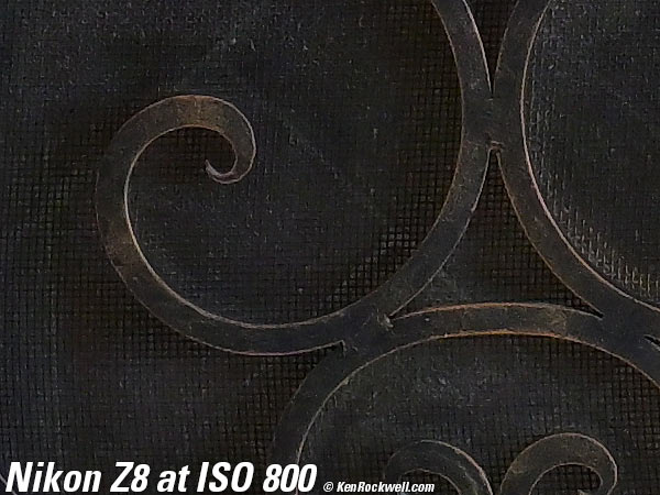 Nikon Z8 High ISO Sample Image File