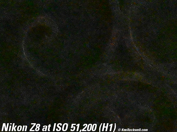 Nikon Z8 High ISO Sample Image File