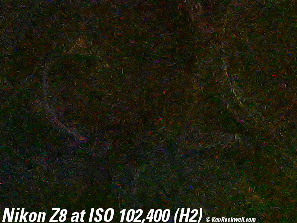 Nikon Z8 High ISO Sample Image File