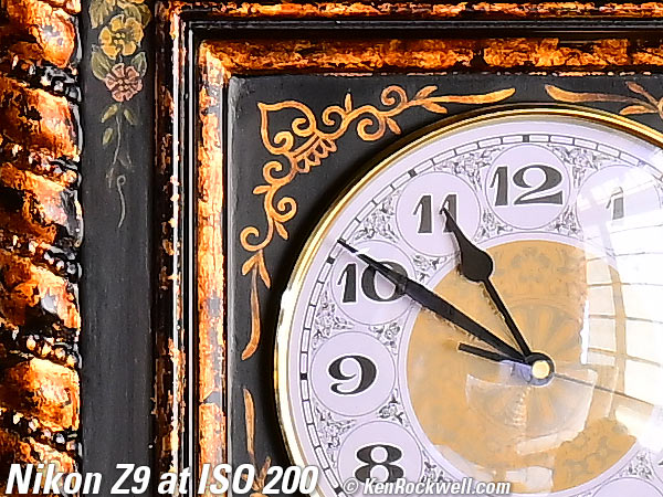 Nikon Z9 High ISO Performance Sample Image File