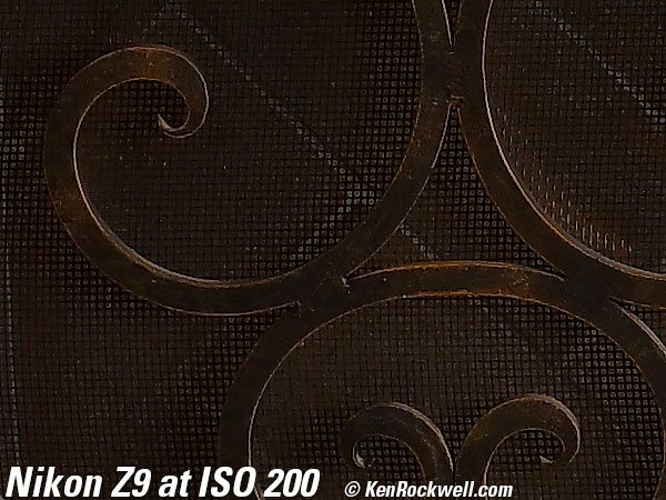 Nikon Z9 High ISO Performance Sample Image File