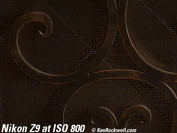 Nikon Z9 High ISO Performance Sample Image File