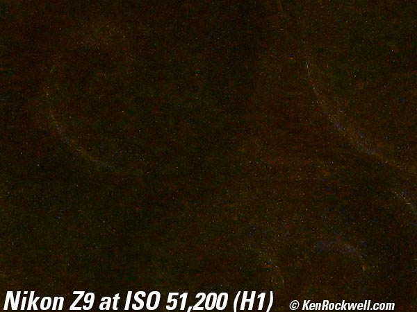 Nikon Z9 High ISO Performance Sample Image File