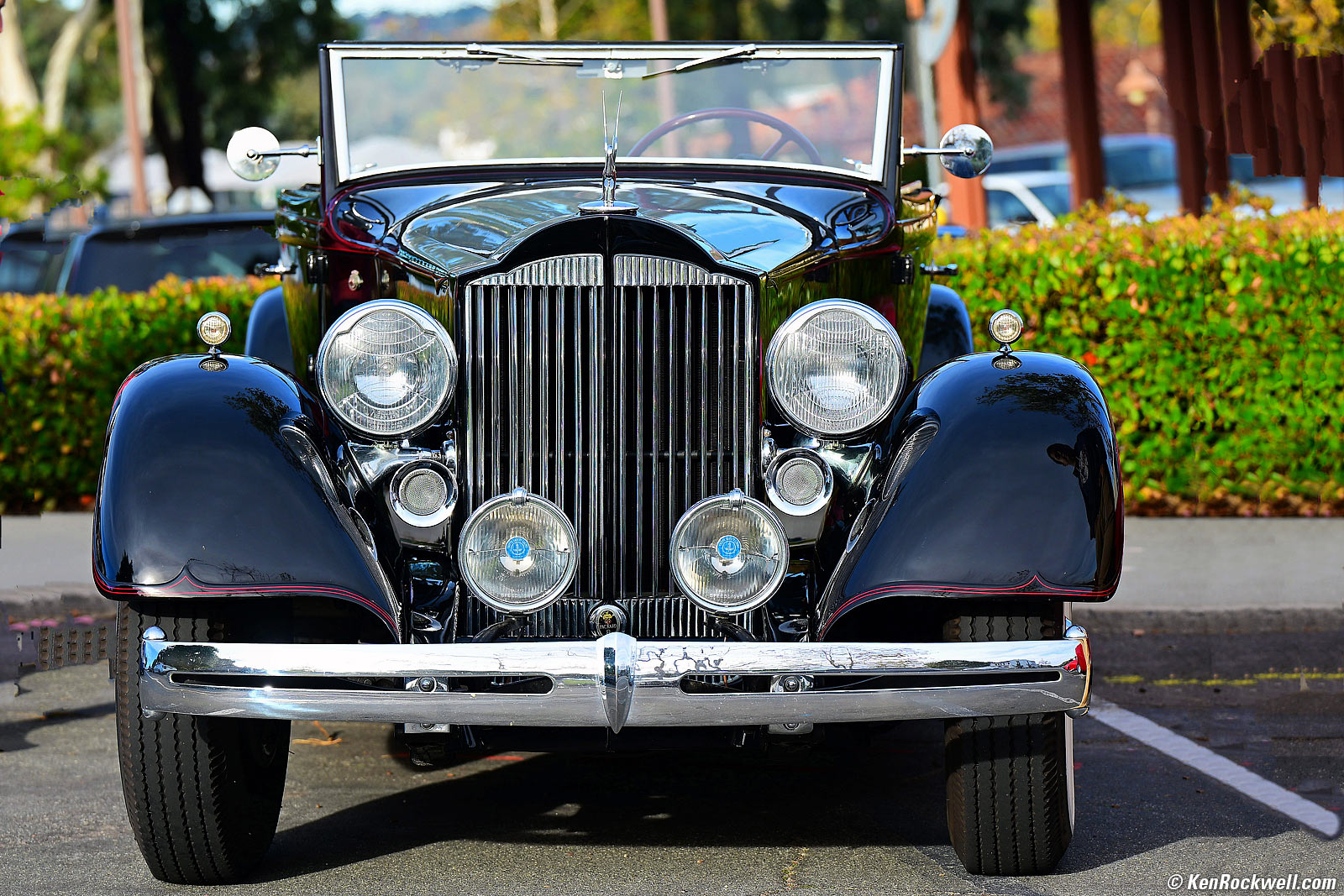 Nikon Zf Sample Image File