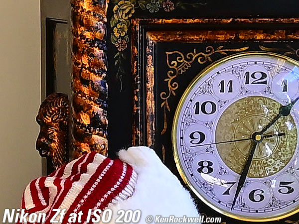 Nikon Zf High ISO Sample Image Files